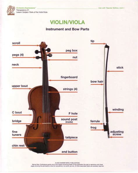 Partes Del Violín: Su Anatomía Y Funciones | Vanessa Mae