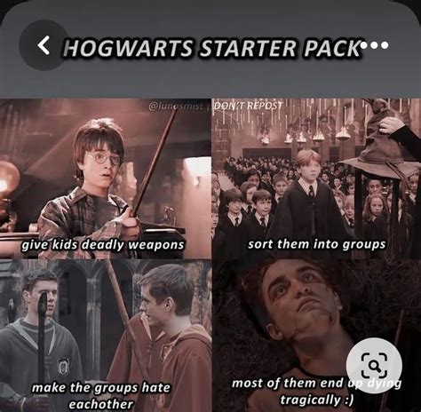 Hp memes again!! | Harry potter funny, Harry potter jokes, Harry potter ...