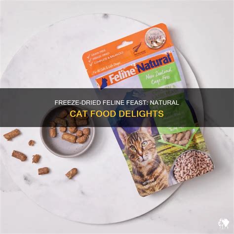 Freeze-Dried Feline Feast: Natural Cat Food Delights | PetShun