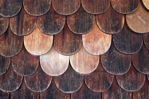 15 Elevation Tiles for a Unique Decor Theme