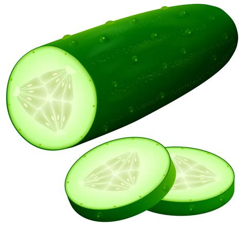 Image result for cucumber clip art | Cucumber, Vegetable pictures, Clip art