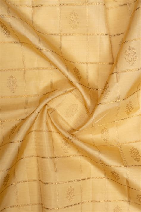 Beige Jamdani neli checks Kanchipuram silk saree – Clio Silks
