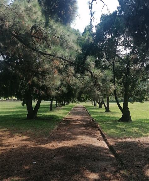 Coronation Park (Krugersdorp) - All You Need to Know BEFORE You Go ...