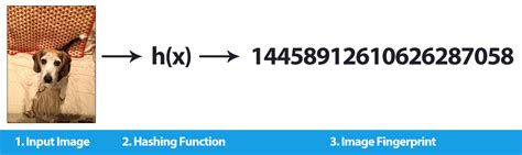 Image result for Hashing Algorithm Python