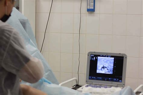 Ultrasound Tech Schools in San Diego - Ultrasound Tech Schools in San Diego