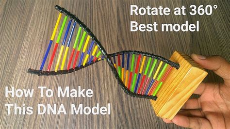 Image result for DNA Models Made Easy