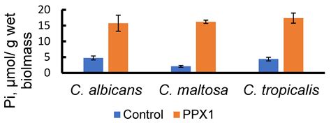 The Extracellular Vesicles Containing Inorganic Polyphosphate of ...