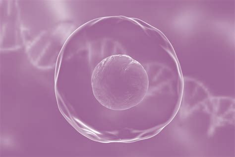 biological 的图像结果