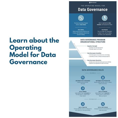 Data Operating Model 的图像结果