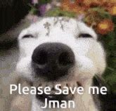 Save Me Meme GIFs | Tenor