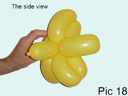 Image result for Balloon Bird Tutorial