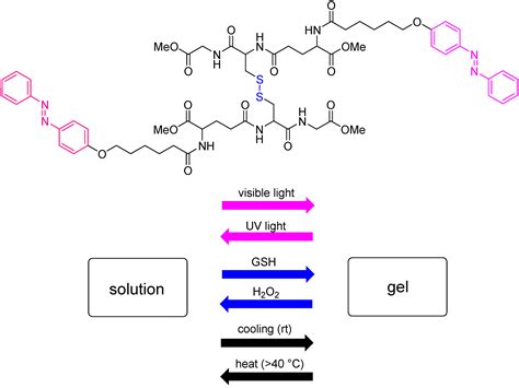 Peptide-Based Supramolecular Hydrogels as Drug Delivery Agents: Recent ...