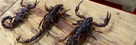 City Tour With Tacos, Exotic Food & Local Markets in Mexico City ...