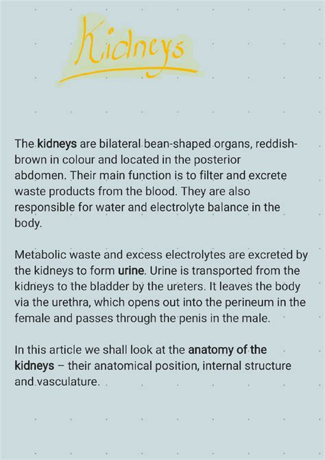 Unit V Kidney 230820 202142 - Kidneys The kidneys are bilateral organs ...