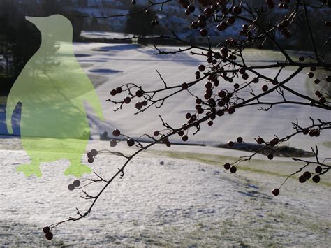 Linux Programming Text Books 的图像结果