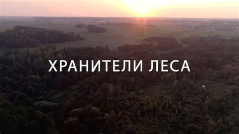 Документальный фильм "Хранители леса" для Министерства лесного ...