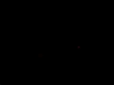 Fisher Cat Scream Sound 的图像结果