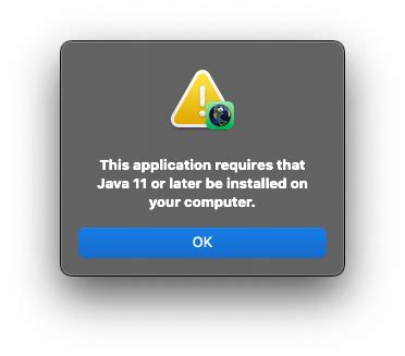 Image result for Njava NASA Errors