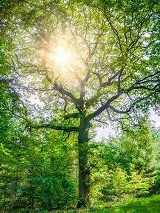 psychotherapie privatpatienten abrechnung kosten abrechnung praxis f 252 r psychotherapie psychotherapie privatpatienten abrechnung kosten abrechnung praxis f 252 r psychotherapie