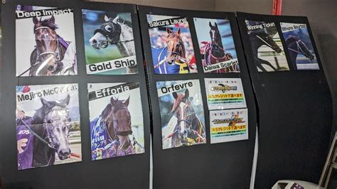 Japan Derby GSDF performance - Forums - MyAnimeList.net
