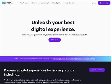 Image result for TryMyUI Tester