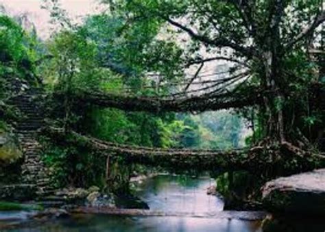 Meghalaya Images - Vacation Pictures of Meghalaya, India - Tripadvisor