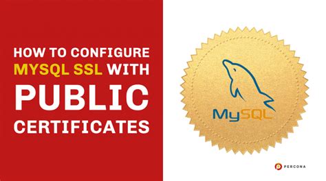 Image result for JavaScript MySQL SSL