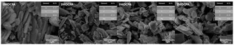 Synthesis, Characterization, and Biological Performances of Magnesium ...