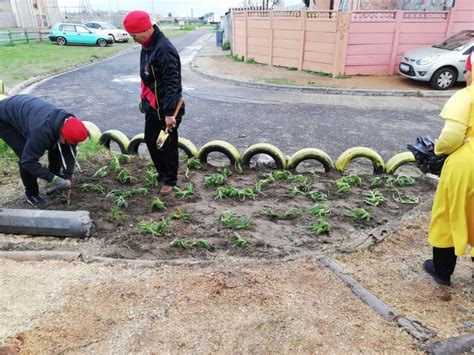 Communitree - Continuation of Landscaping