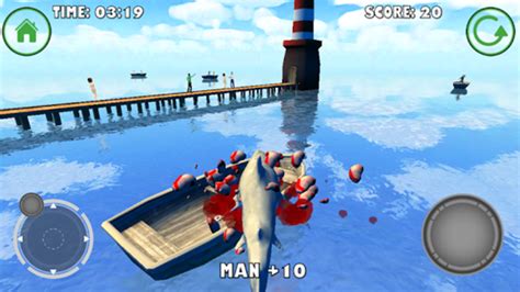 Shark Simulation 的图像结果