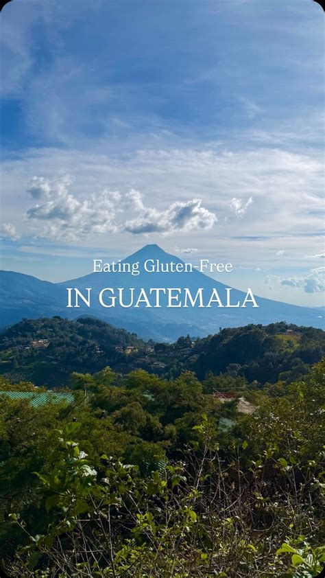 🌻𝑀𝒾𝓀𝒶𝒾𝓁𝒶 𝑀𝓊𝓇𝓅𝒽𝓎🌻 | Visions of twerking plums danced in their heads ️🎅🏼 sincerely~ your sugar ...