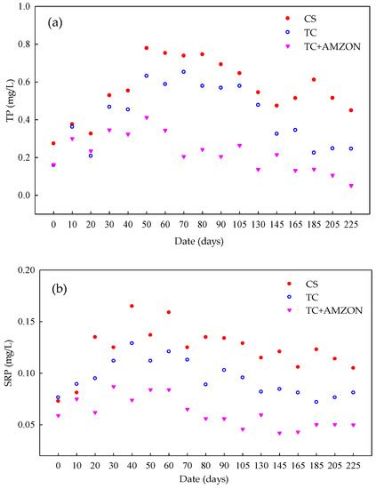 Experimental Study of Al-Modified Zeolite with Oxygen Nanobubbles in ...