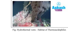 Kingdom Monera: Classification, Characteristics & Archaebacteria | AESL