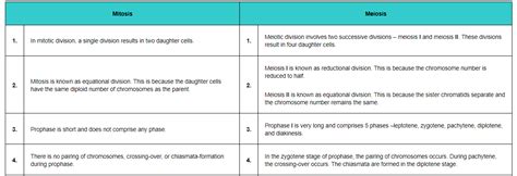 List the main differences between mitosis and meiosis.