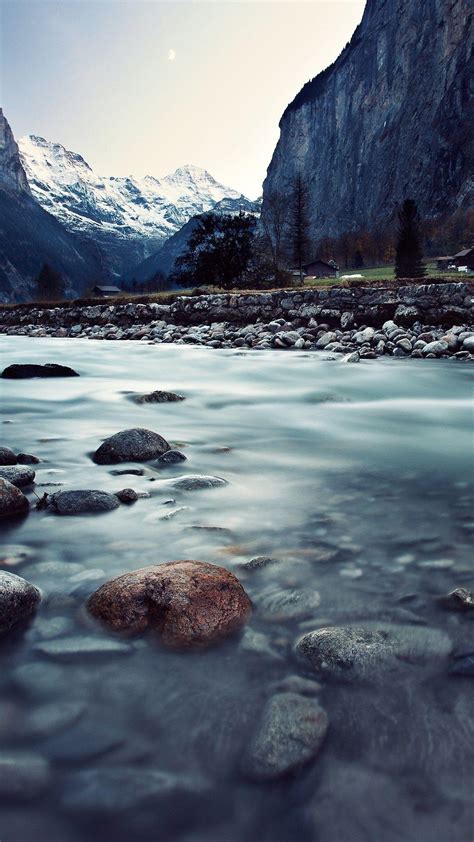 Phone Background 的图像结果