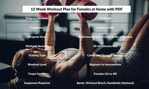 Free 12 Week Workout Plan 的图像结果