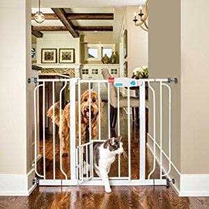 Carlson Extra-Wide Walk-Thru Gate with Pet Door, White : Amazon.in ...