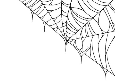 Spiderwebs Isolate On Png Or Transparent Background Happy Halloween ...
