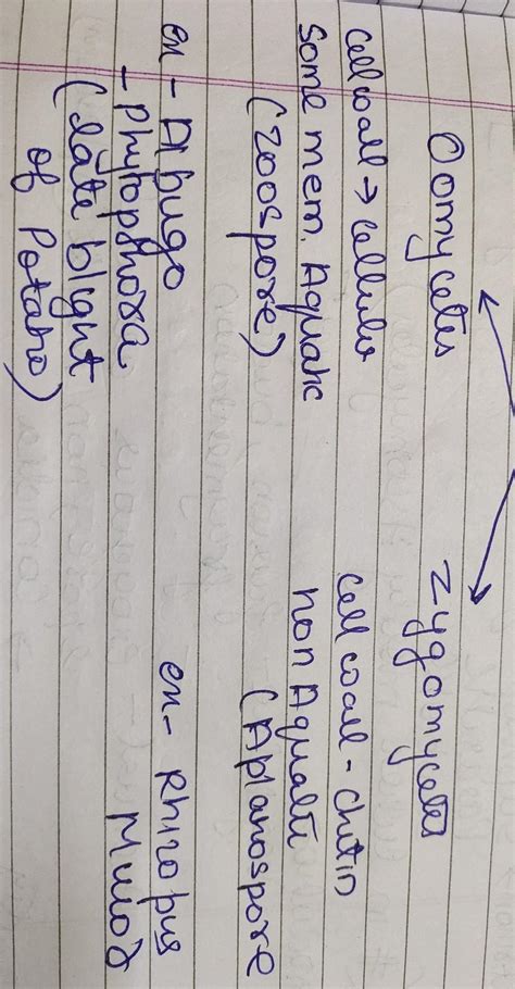 Difference between oomycetes and zygomycetes - Brainly.in