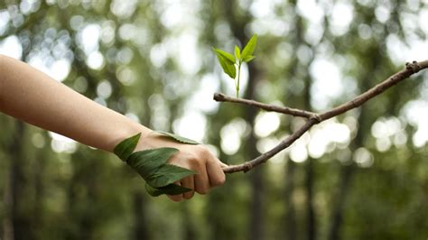 Sustainability | BenQ India