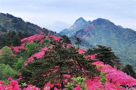 黄冈旅游必去十大景点排行榜-黄冈有哪些有名的景点-排行榜123网
