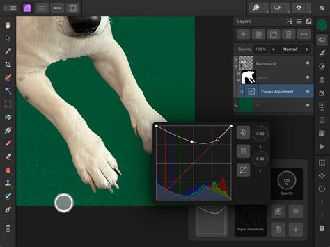 Image result for Affinity Vido Tutorials