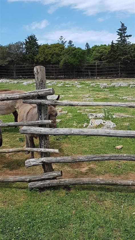 Safari Park, Brijuni (Park / Garden) - Veliki Brijun