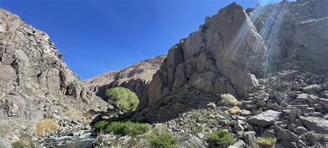 Owens River Gorge, California - 75 Reviews, Map | AllTrails