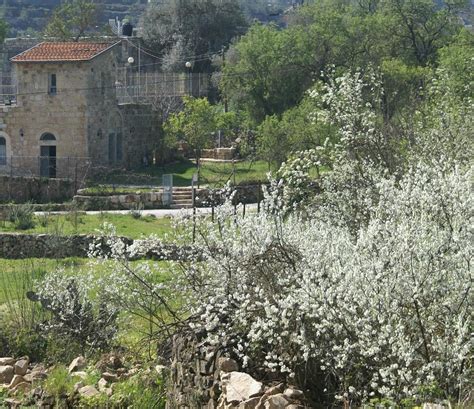 YELLIN HOUSE AT MOTZA (2026) All You Need to Know BEFORE You Go (with ...