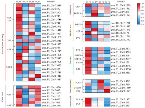Effects of Pollen Sources on Fruit Set and Fruit Characteristics of ...