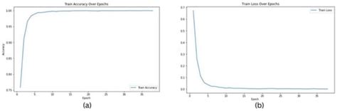 Multi-Scale Digital Pathology Patch-Level Prostate Cancer Grading Using ...