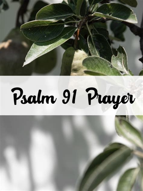 20 Psalms that Praise God