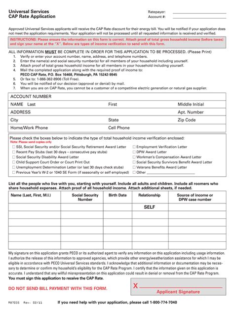 Cap Program Application Form 的图像结果