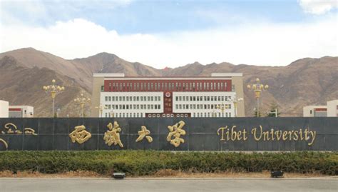 西藏大学2021年录取分数线 - 趣智分享